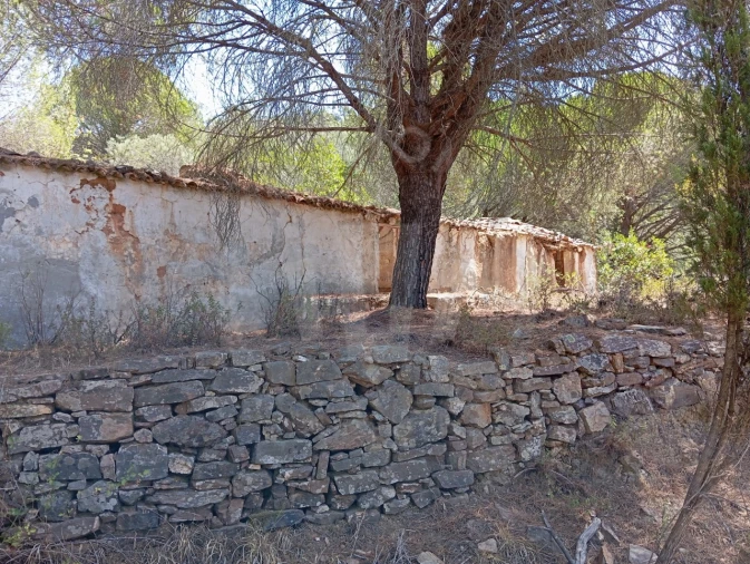 Quinta T4 para Venda em São Teotónio Foto 19