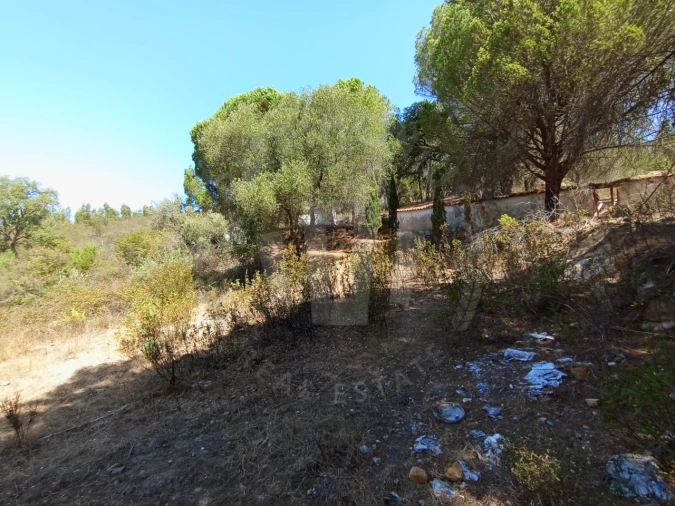 Quinta T4 para Venda em São Teotónio Foto 20