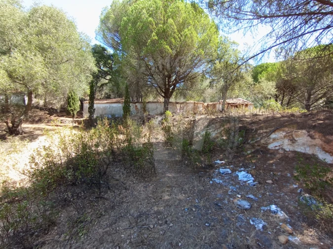 Quinta T4 para Venda em São Teotónio Foto 22