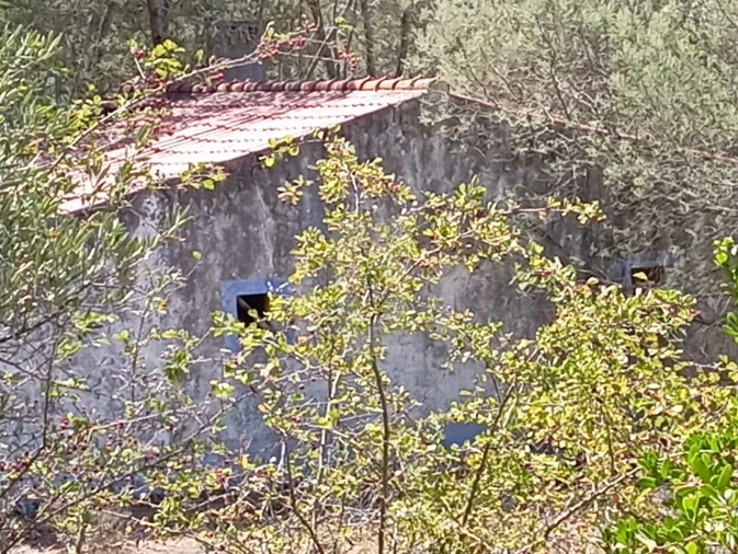 Quinta T4 para Venda em São Teotónio Foto 23