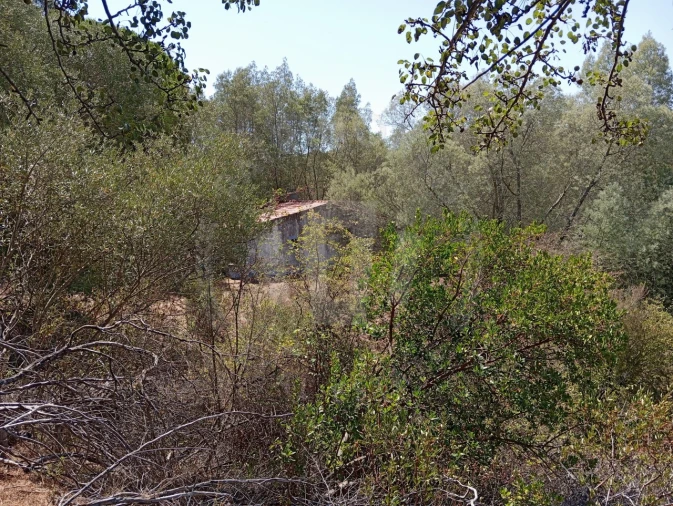 Quinta T4 para Venda em São Teotónio Foto 24