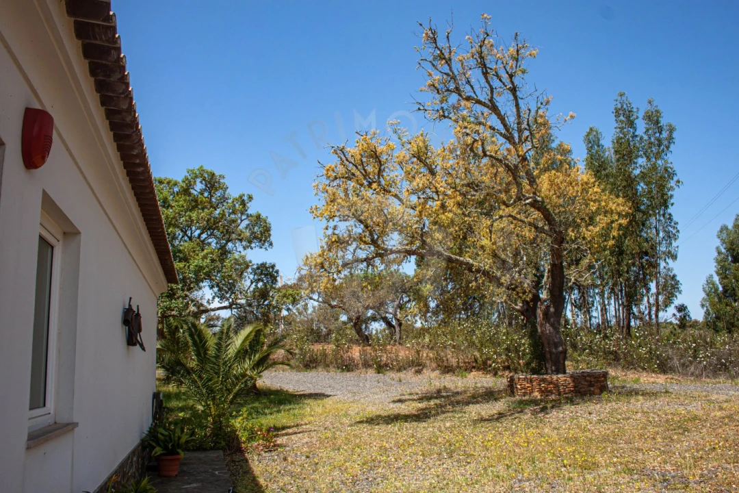 Quinta T17 para Venda em São Domingos e Vale de Água Foto 3