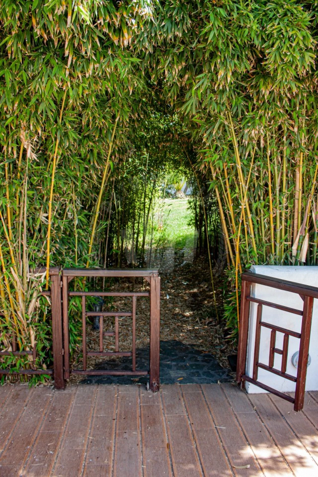 Quinta T17 para Venda em São Domingos e Vale de Água Foto 19