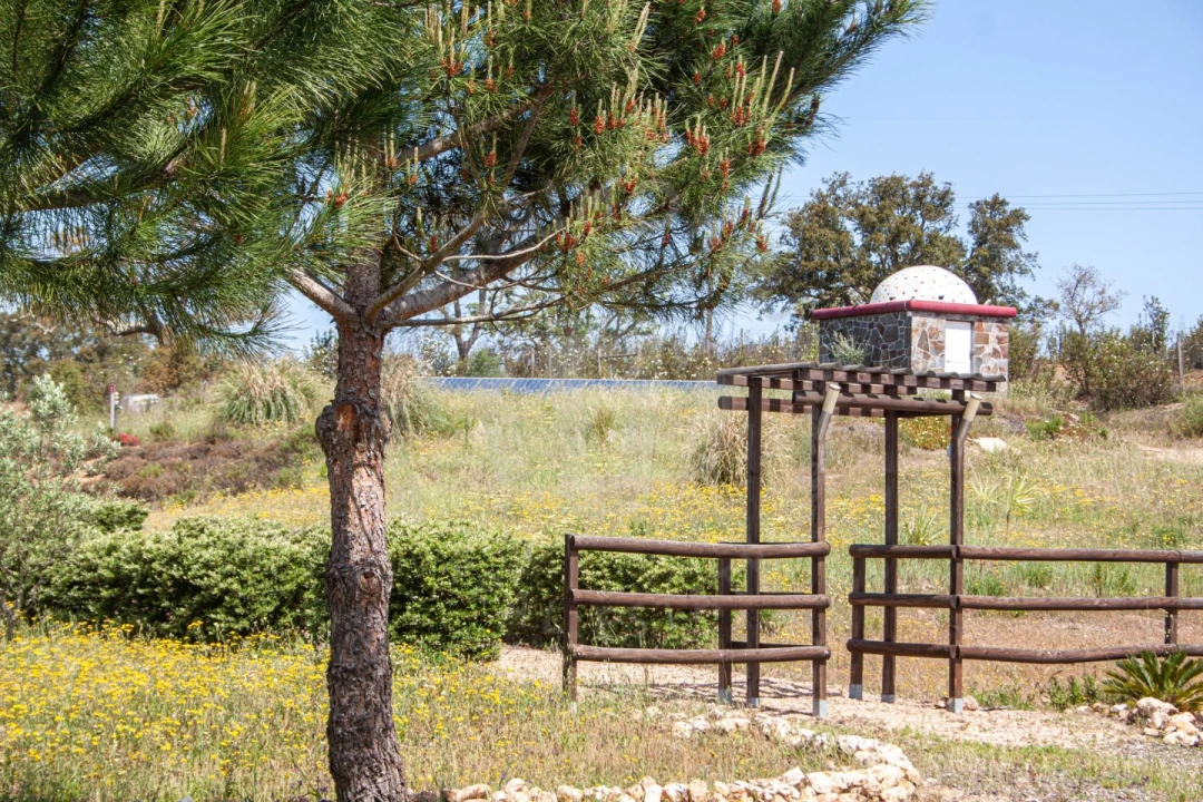 Quinta T17 para Venda em São Domingos e Vale de Água Foto 31