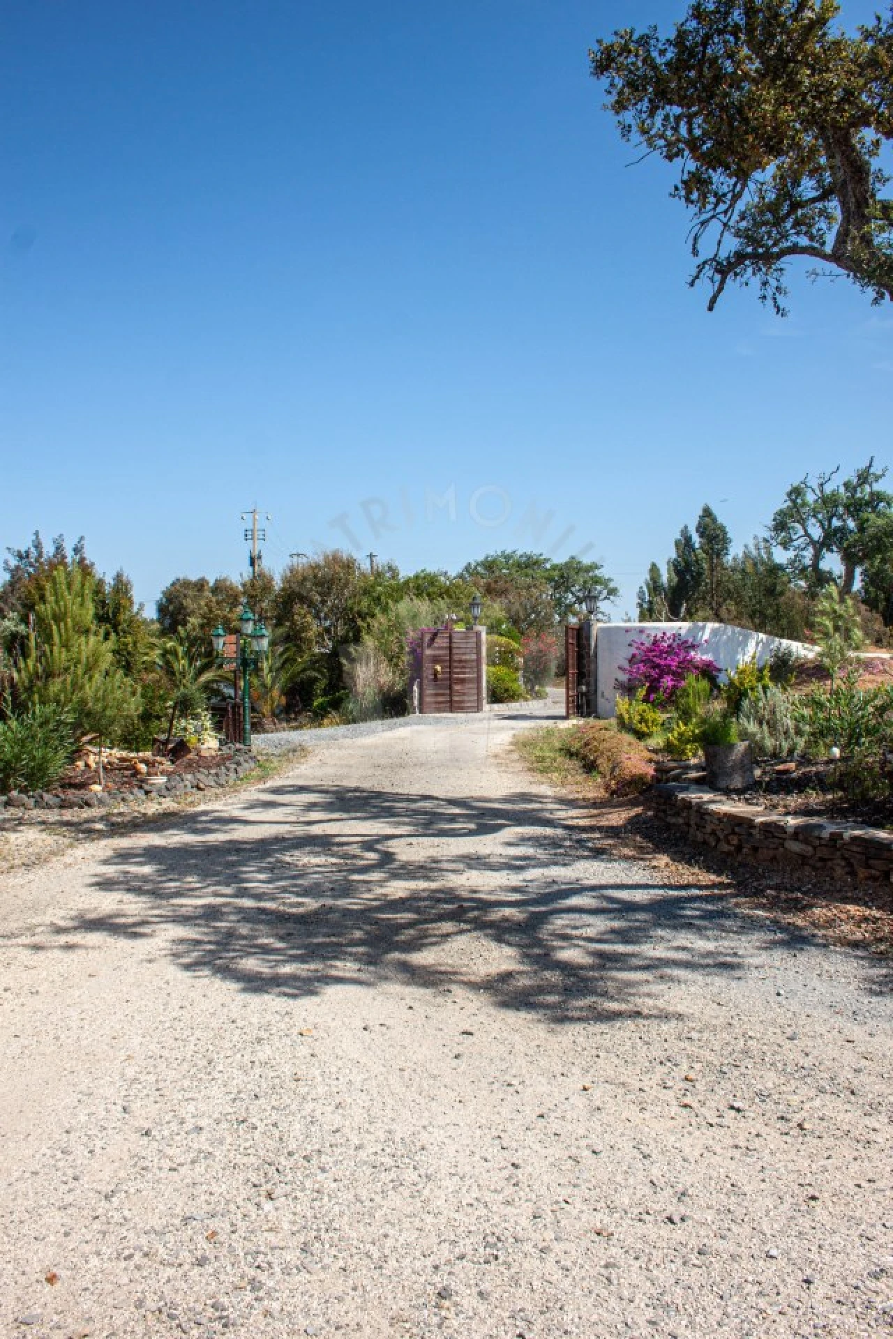 Quinta T17 para Venda em São Domingos e Vale de Água Foto 57