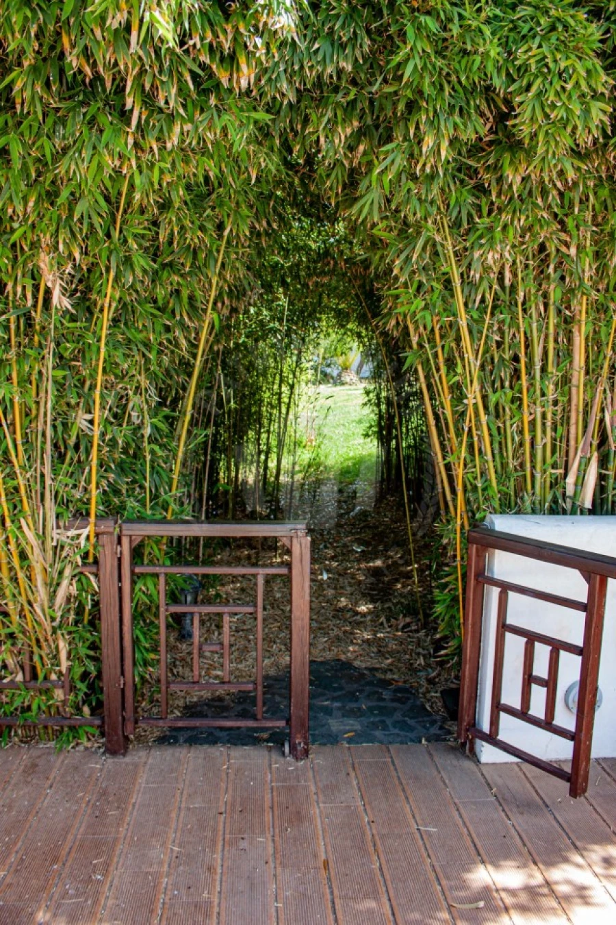 Quinta T17 para Venda em São Domingos e Vale de Água Foto 19