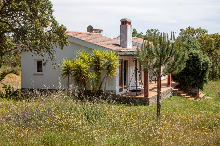 Quinta T17 para Venda em São Domingos e Vale de Água Foto 27