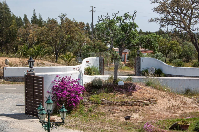 Quinta T17 para Venda em São Domingos e Vale de Água Foto 28
