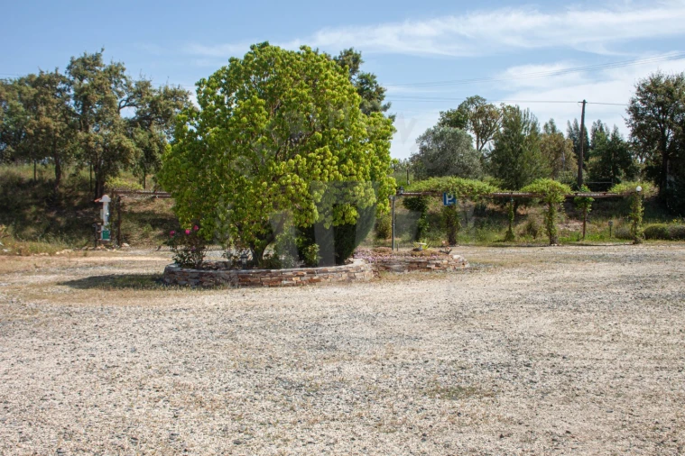 Quinta T17 para Venda em São Domingos e Vale de Água Foto 29