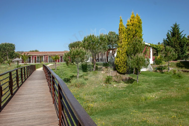 Quinta T17 para Venda em São Domingos e Vale de Água Foto 52