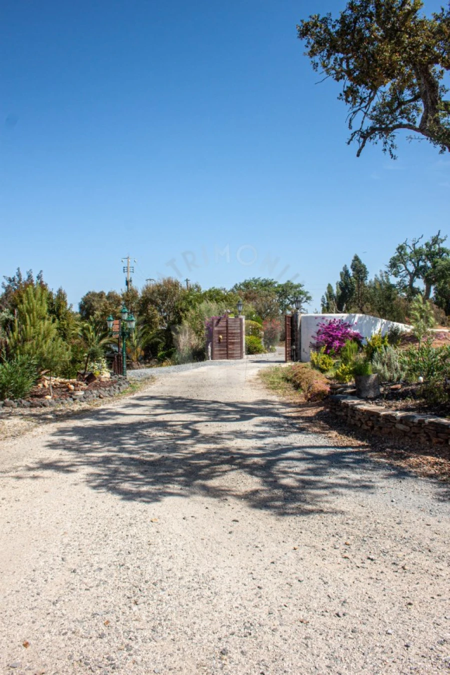 Quinta T17 para Venda em São Domingos e Vale de Água Foto 57