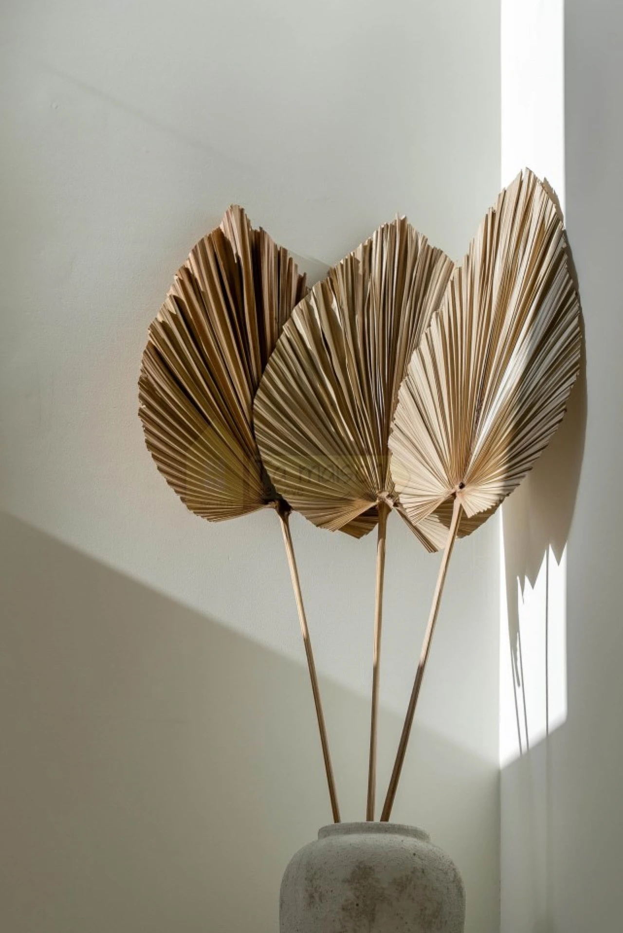 Moradia T3 para Venda em Santa Barbara de Nexe Foto 30