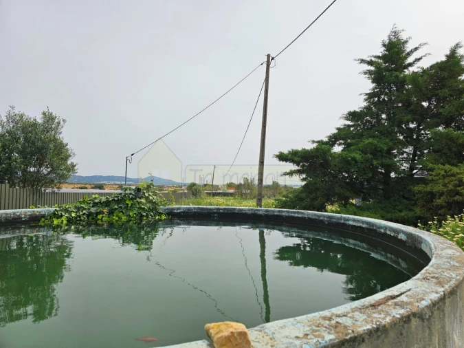 Moradia T3 para Venda em Conceição e Estoi Foto 37
