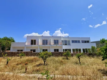 Moradia T8 para Venda em Salir