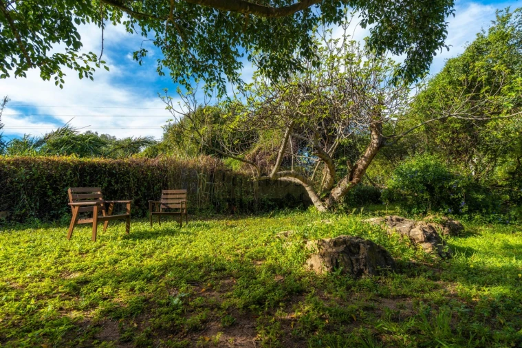 Moradia T3 para Venda em Moncarapacho e Fuseta Foto 8