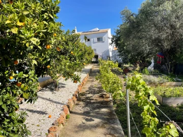 Moradia T3 para Venda em Loule (São Clemente)