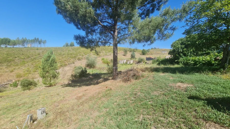 Moradia T7 para Venda em Cardigos Foto 26