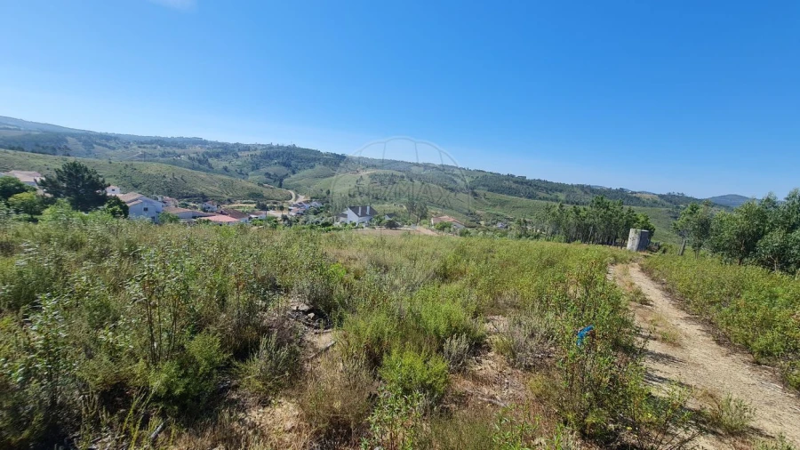 Moradia T7 para Venda em Cardigos Foto 20