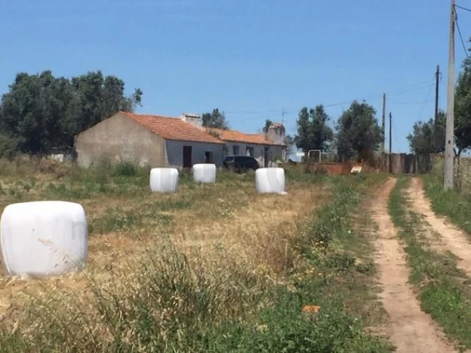 Terreno para Venda em São Cristovão Foto 8