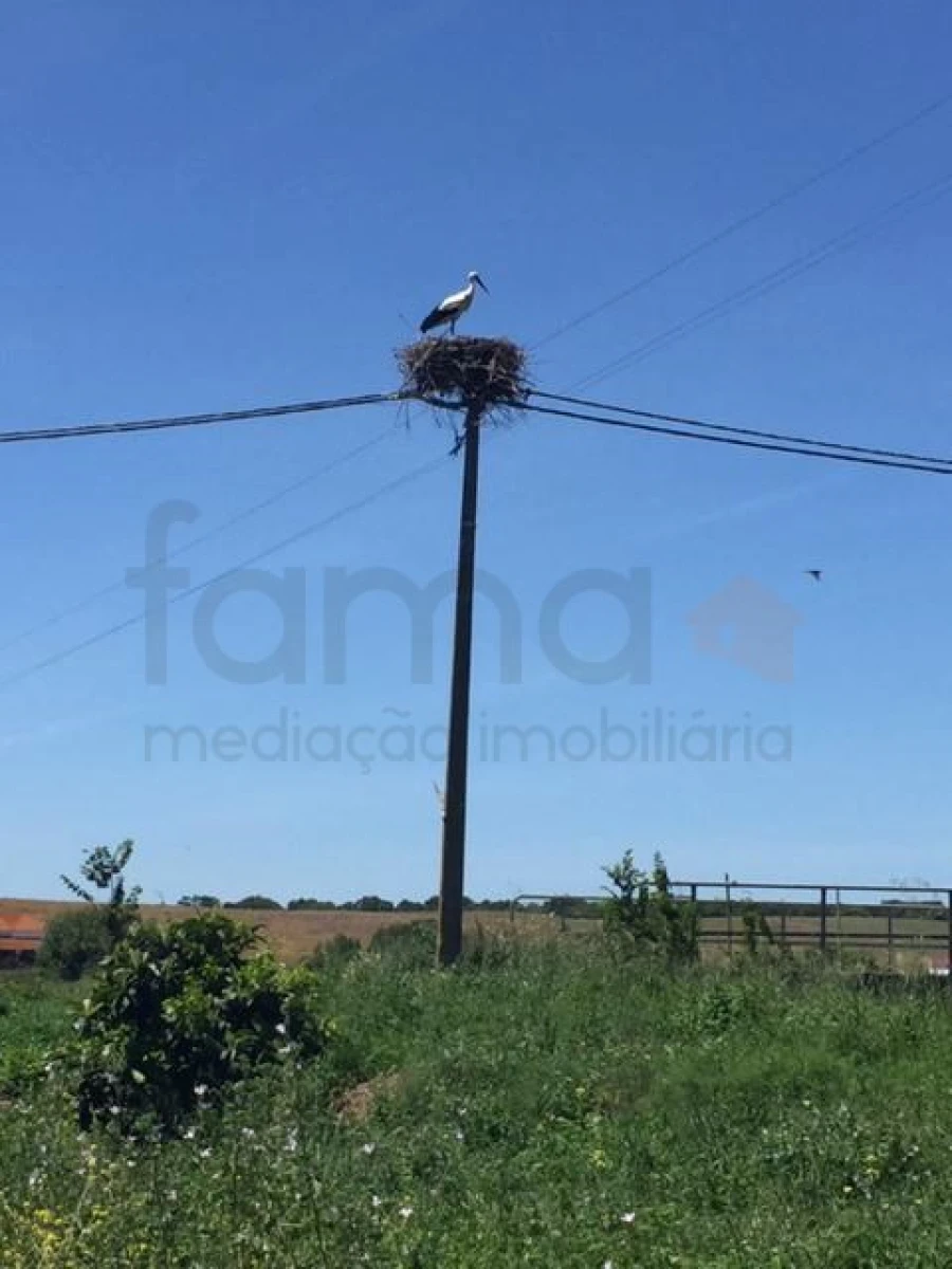 Terreno para Venda em São Cristovão Foto 19