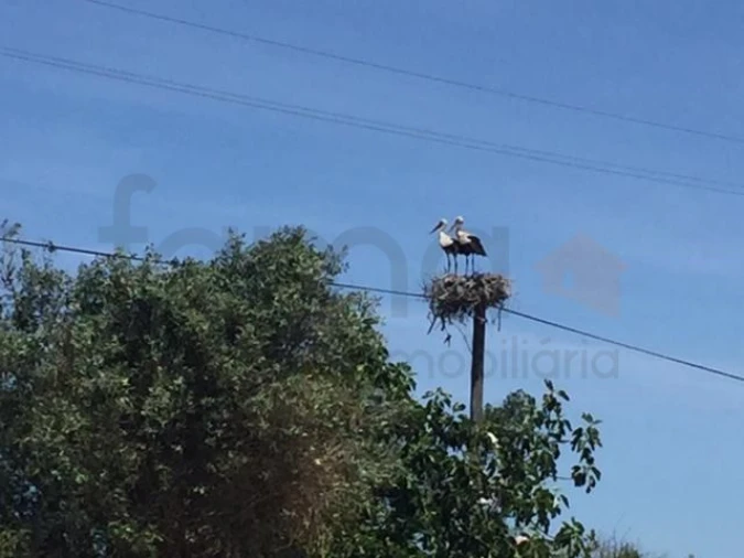 Terreno para Venda em São Cristovão Foto 20