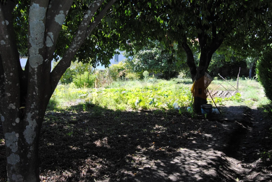 Moradia T20 para Venda em Tortosendo Foto 17