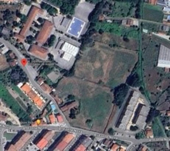 Quinta para Venda em Santa Maria Maior Foto 3