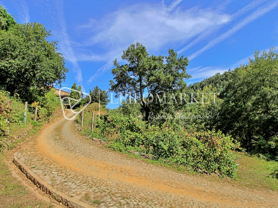 Quinta para Venda em Real Foto 1