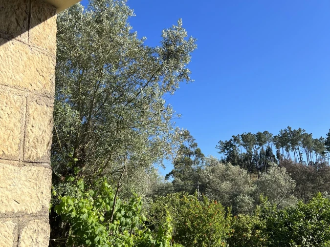 Moradia T6 para Venda em São Martinho do Bispo e Ribeira de Frades Foto 1