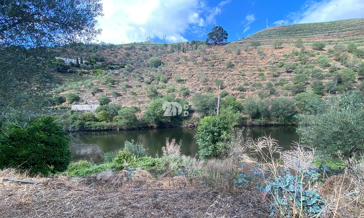 Terreno Agricola ou Rústico para Venda em Barcos e Santa Leocádia Foto 11