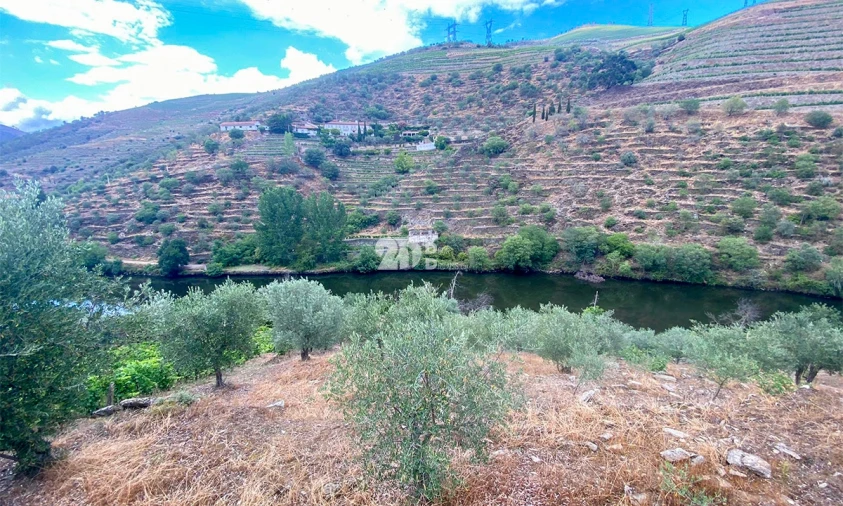 Terreno Agricola ou Rústico para Venda em Barcos e Santa Leocádia