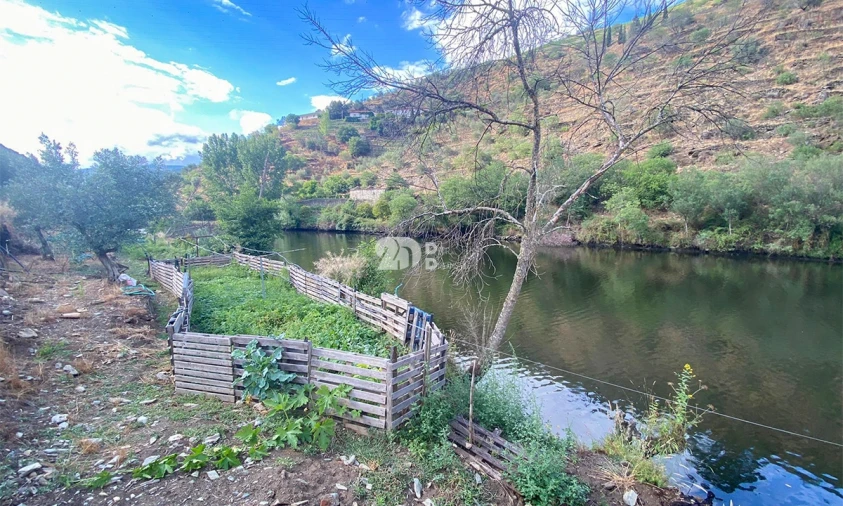 Terreno Agricola ou Rústico para Venda em Barcos e Santa Leocádia Foto 15