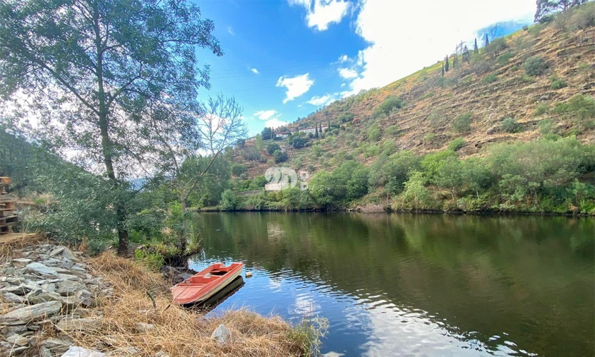 Terreno Agricola ou Rústico para Venda em Barcos e Santa Leocádia Foto 12