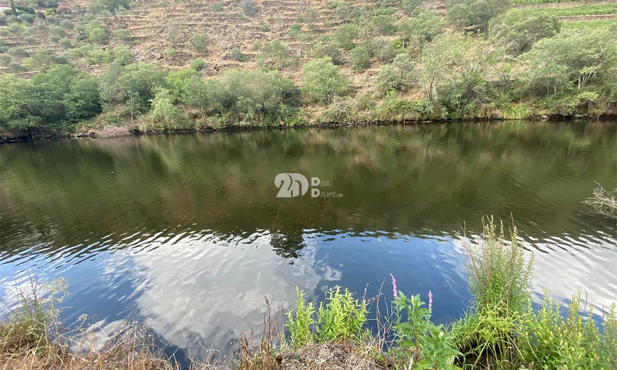 Terreno Agricola ou Rústico para Venda em Barcos e Santa Leocádia Foto 14