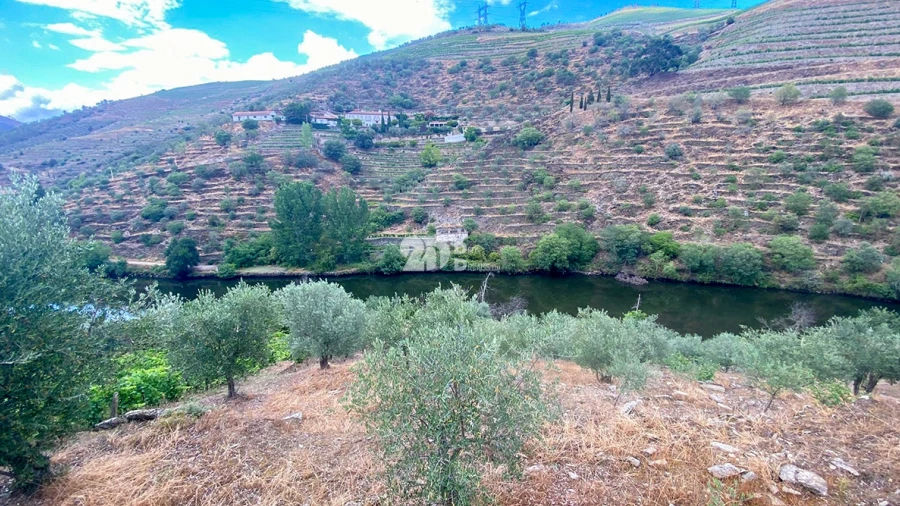 Terreno Agricola ou Rústico para Venda em Barcos e Santa Leocádia