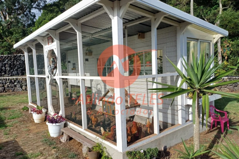 Moradia T8 para Venda em São Mateus da Calheta Foto 34