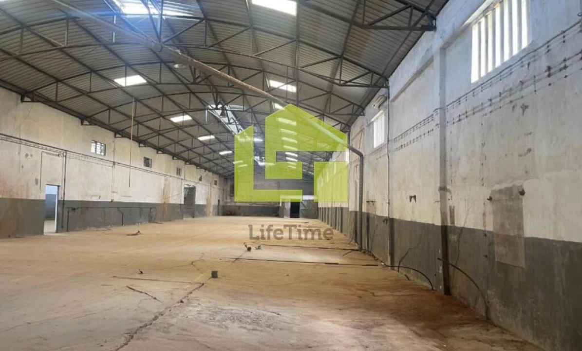 Armazém para Venda em Amiais de Baixo Foto 30