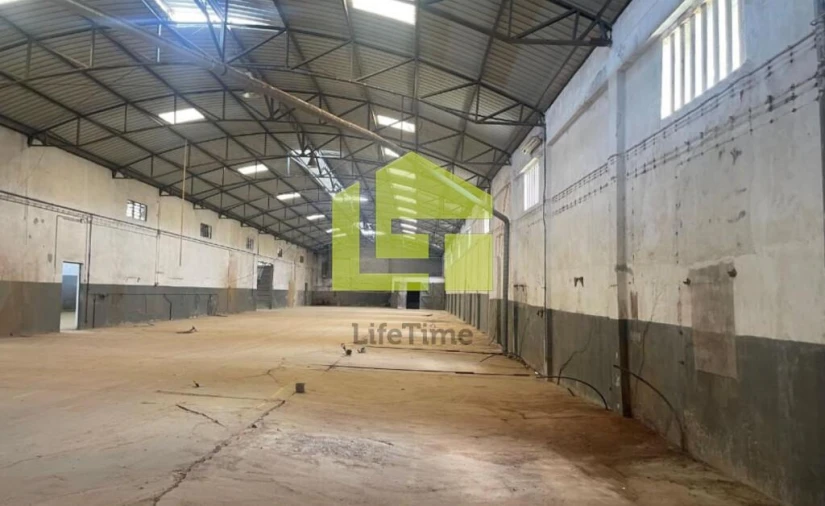 Armazém para Venda em Amiais de Baixo Foto 4