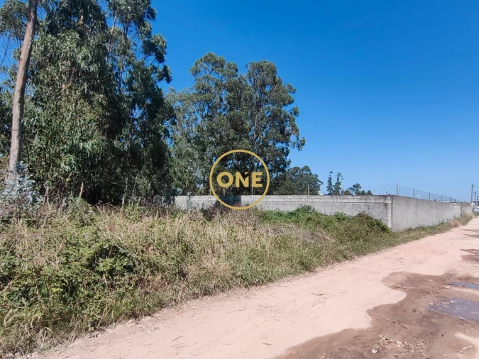 Terreno para Venda em Aver-O-Mar, Amorim e Terroso Foto 5