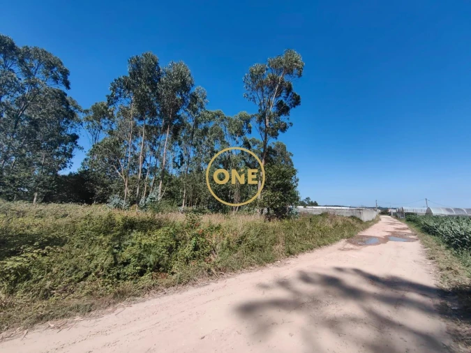 Terreno para Venda em Aver-O-Mar, Amorim e Terroso Foto 2