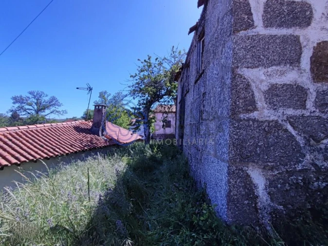Moradia T1 para Venda em Lamego (Almacave e Sé) Foto 4