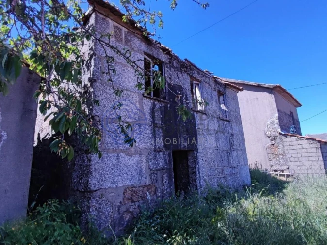 Moradia T1 para Venda em Lamego (Almacave e Sé) Foto 3