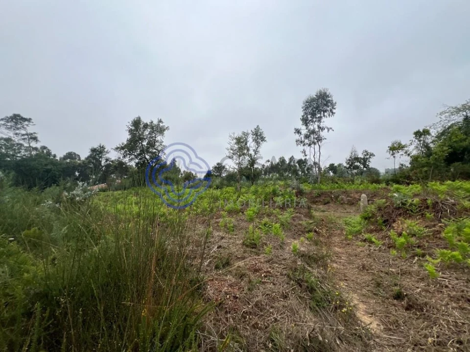 Terreno para Venda em Serzedo e Perosinho Foto 13