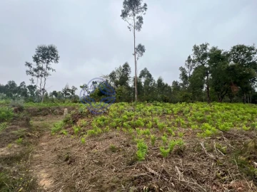 Terreno para Venda em Serzedo e Perosinho