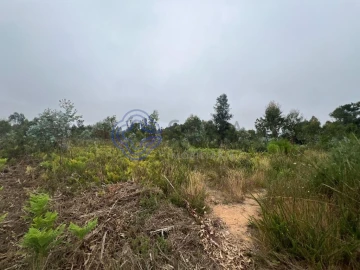 Terreno para Venda em Serzedo e Perosinho