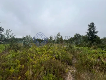 Terreno para Venda em Serzedo e Perosinho