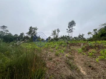 Terreno para Venda em Serzedo e Perosinho