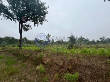 Terreno para Venda em Serzedo e Perosinho
