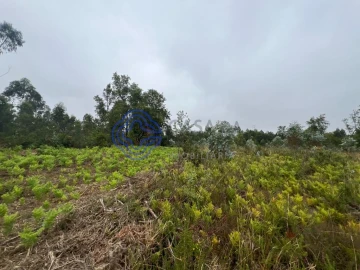 Terreno para Venda em Serzedo e Perosinho