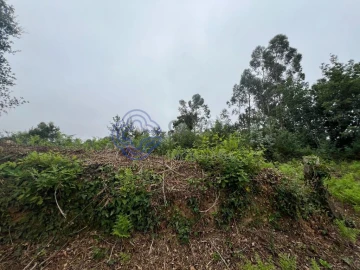 Terreno para Venda em Serzedo e Perosinho
